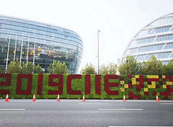 鄭州五色草造型